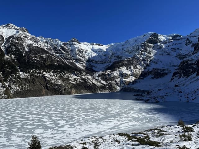 Cerro Tronador y Ventisquero Negro